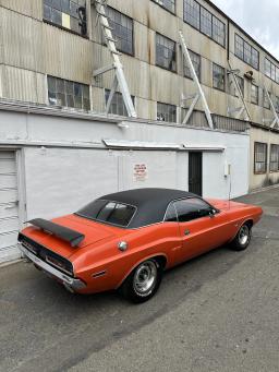Rare Cars