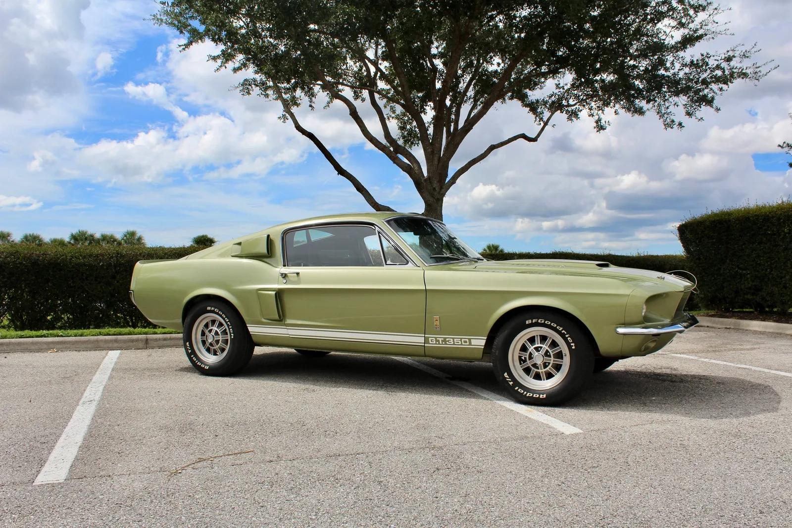 1967 Shelby GT350