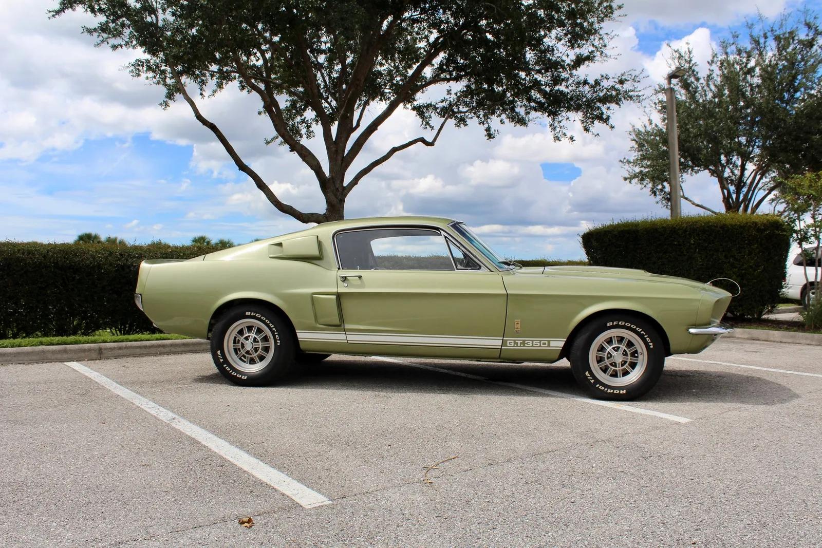 1967 Shelby GT350