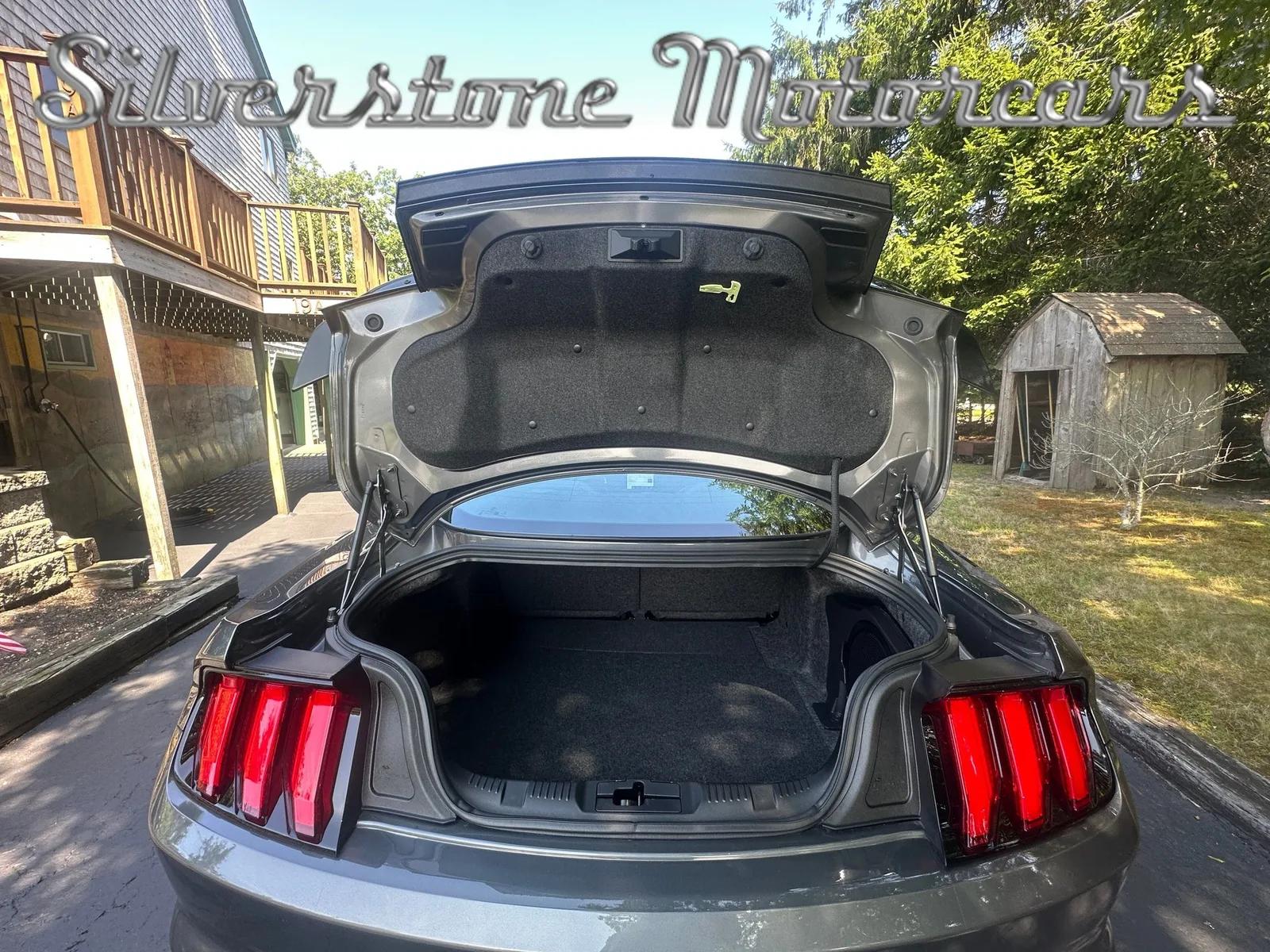 2021 Shelby GT500