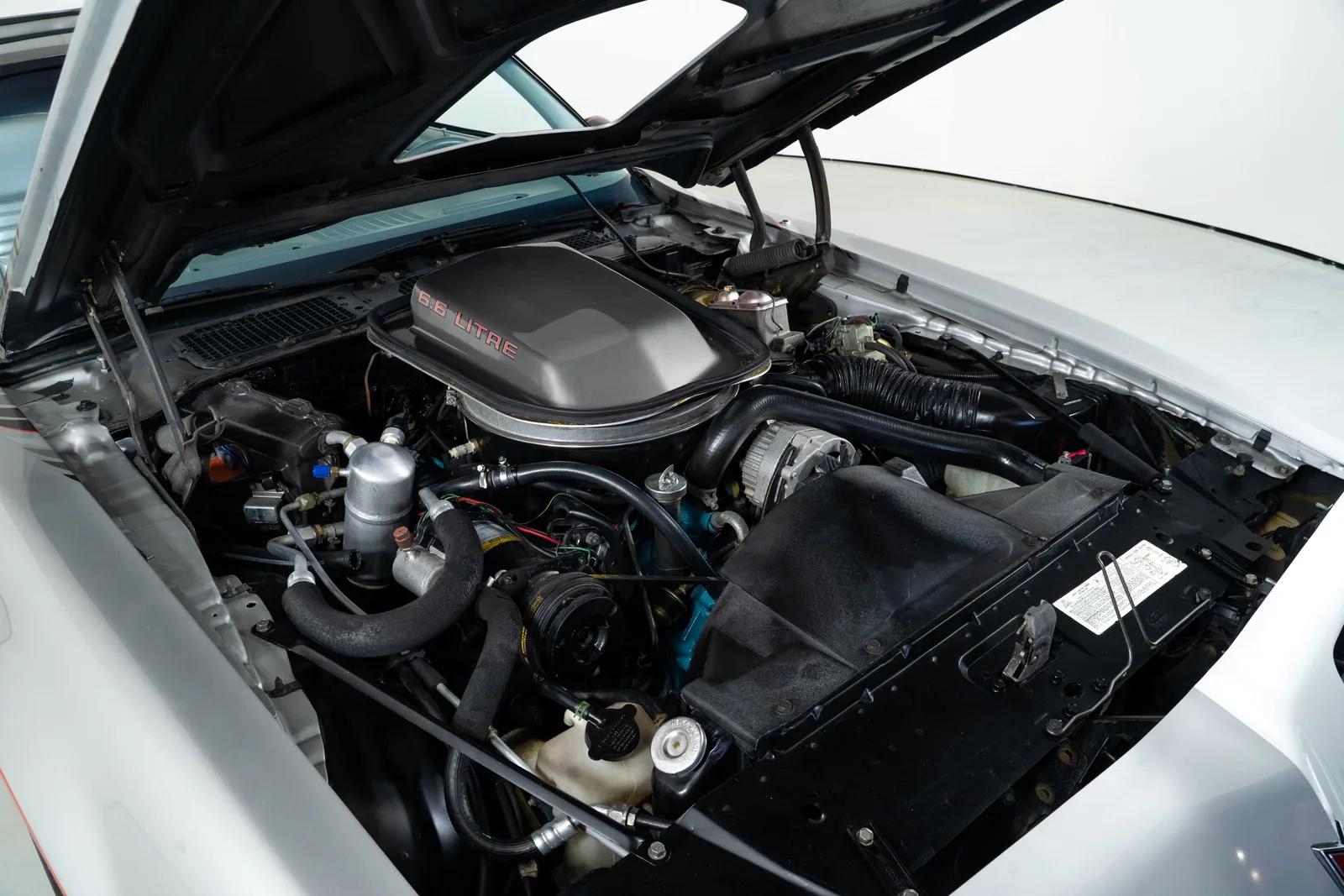 1979 Pontiac Trans Am
