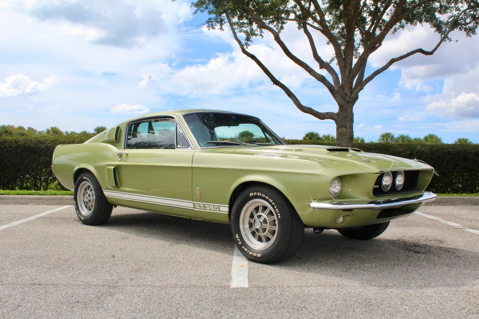 1967 Shelby Mustang GT350 & GT500